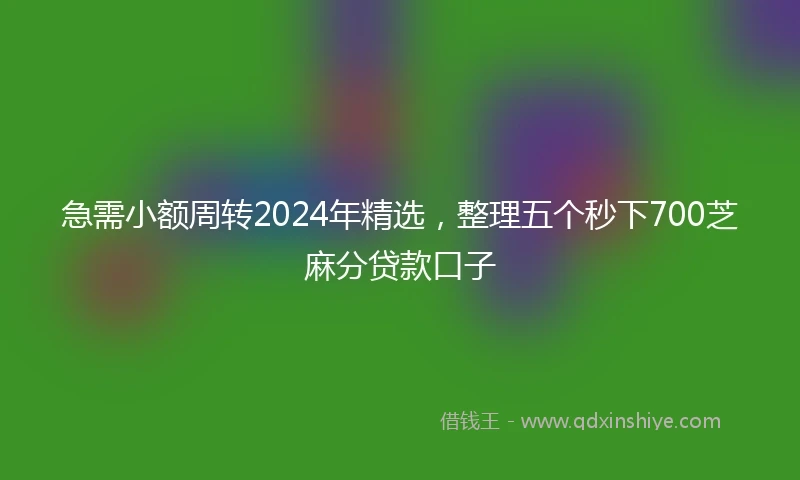 急需小额周转2024年精选，整理五个秒下700芝麻分贷款口子