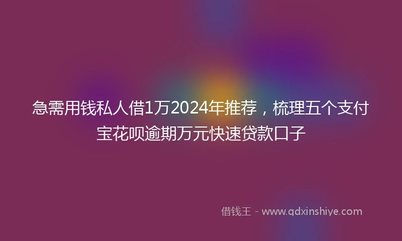 急需用钱私人借1万2024年推荐，梳理五个支付宝花呗逾期万元快速贷款口子
