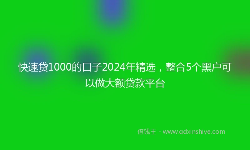快速贷1000的口子2024年精选，整合5个黑户可以做大额贷款平台