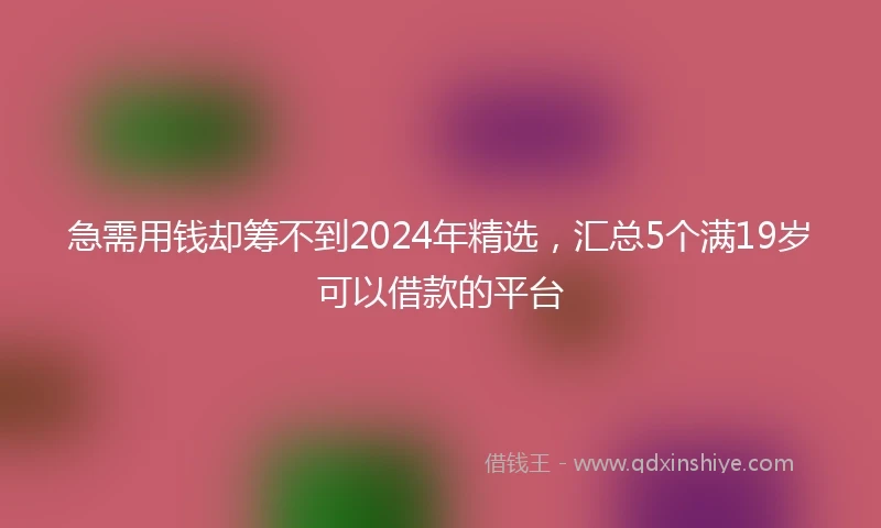 急需用钱却筹不到2024年精选，汇总5个满19岁可以借款的平台