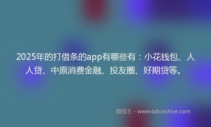 2025年的打借条的app有哪些有：小花钱包、人人贷、中原消费金融、投友圈、好期贷等。