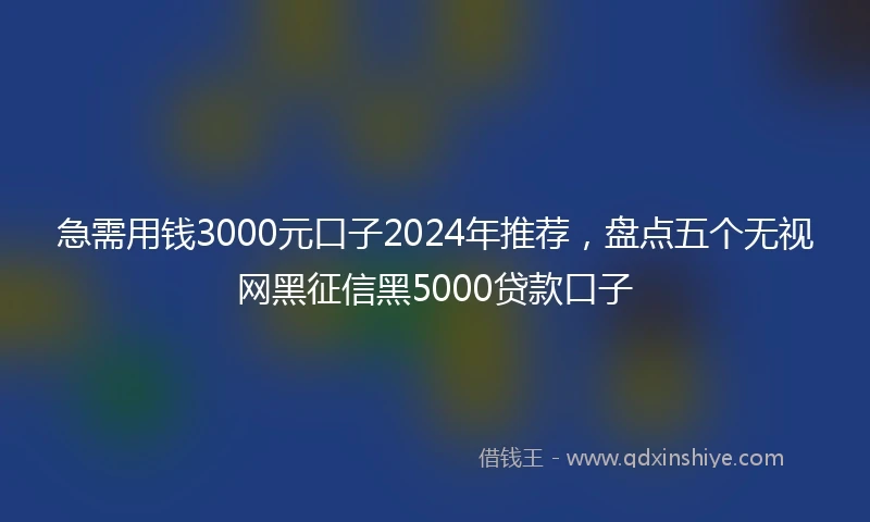 急需用钱3000元口子2024年推荐，盘点五个无视网黑征信黑5000贷款口子
