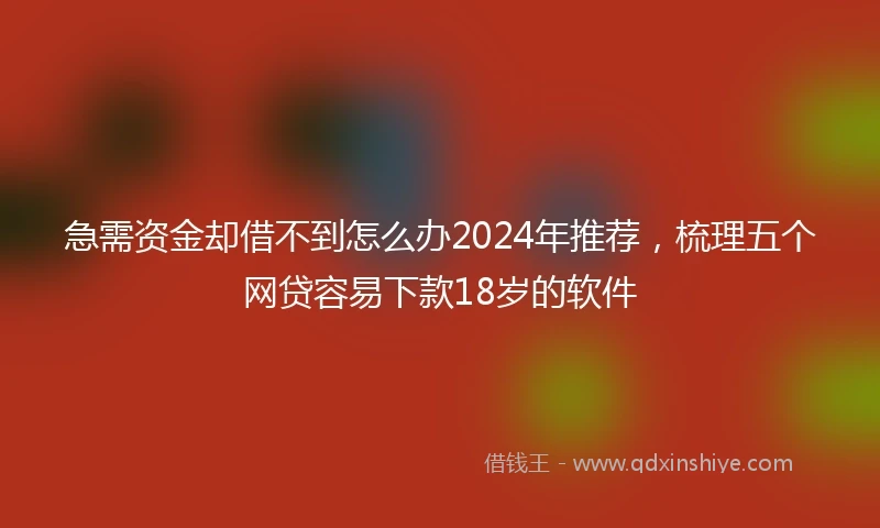 急需资金却借不到怎么办2024年推荐，梳理五个网贷容易下款18岁的软件
