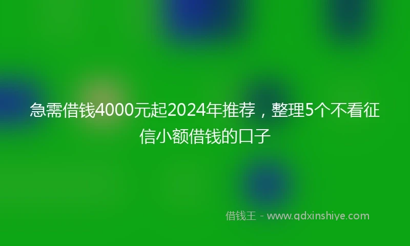 急需借钱4000元起2024年推荐，整理5个不看征信小额借钱的口子