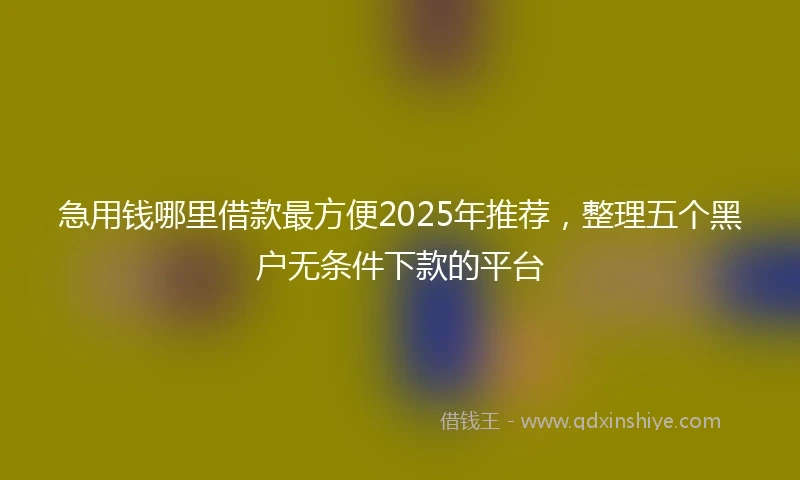 急用钱哪里借款最方便2025年推荐，整理五个黑户无条件下款的平台