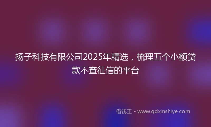 扬子科技有限公司2025年精选，梳理五个小额贷款不查征信的平台
