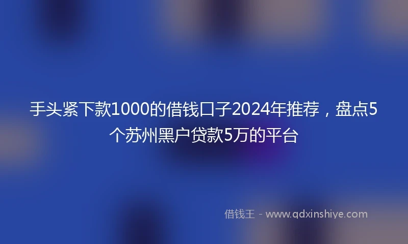 手头紧下款1000的借钱口子2024年推荐，盘点5个苏州黑户贷款5万的平台