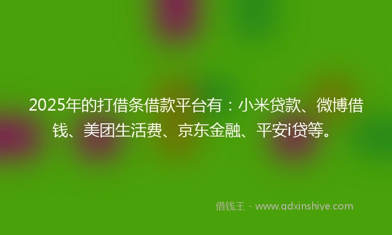 2025年的打借条借款平台有：小米贷款、微博借钱、美团生活费、京东金融、平安i贷等。