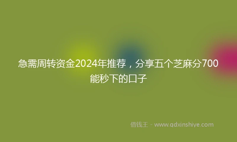 急需周转资金2024年推荐，分享五个芝麻分700能秒下的口子