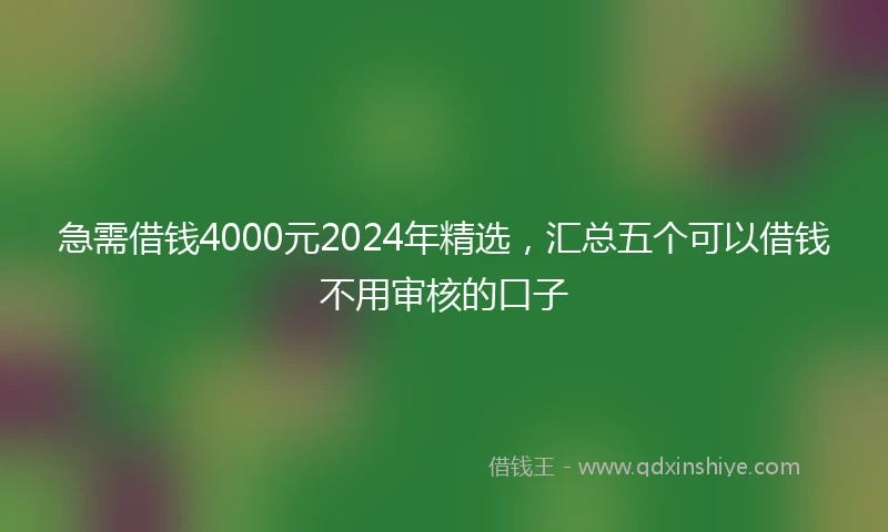 急需借钱4000元2024年精选，汇总五个可以借钱不用审核的口子
