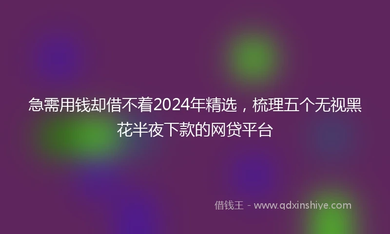 急需用钱却借不着2024年精选，梳理五个无视黑花半夜下款的网贷平台