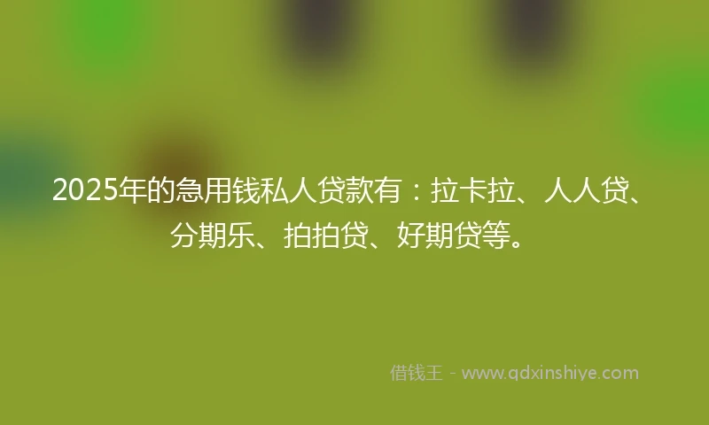 2025年的急用钱私人贷款有：拉卡拉、人人贷、分期乐、拍拍贷、好期贷等。