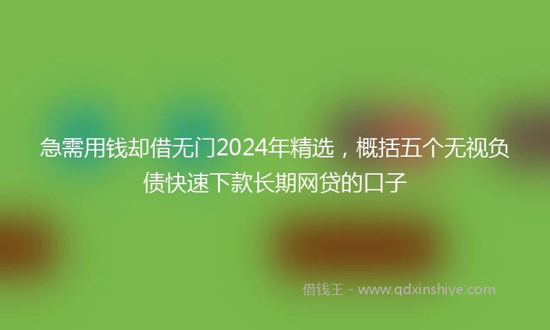 急需用钱却借无门2024年精选，概括五个无视负债快速下款长期网贷的口子