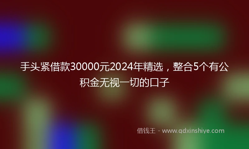 手头紧借款30000元2024年精选，整合5个有公积金无视一切的口子