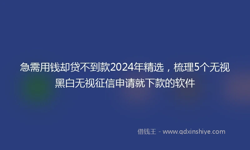 急需用钱却贷不到款2024年精选，梳理5个无视黑白无视征信申请就下款的软件