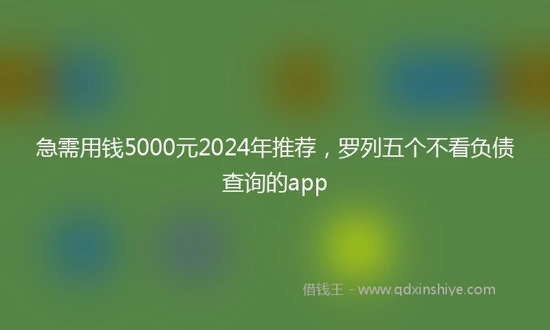 急需用钱5000元2024年推荐，罗列五个不看负债查询的app