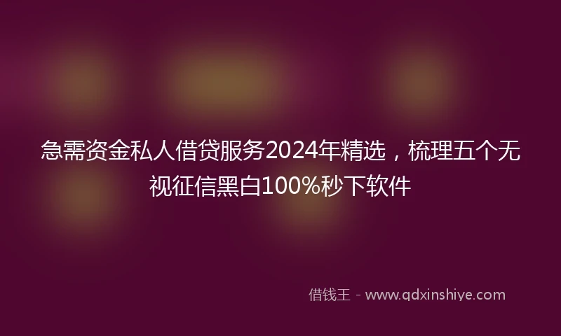 急需资金私人借贷服务2024年精选，梳理五个无视征信黑白100%秒下软件