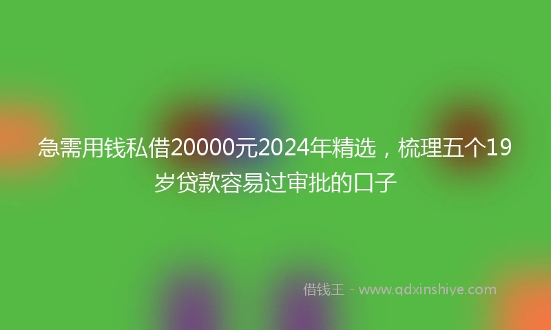 急需用钱私借20000元2024年精选，梳理五个19岁贷款容易过审批的口子