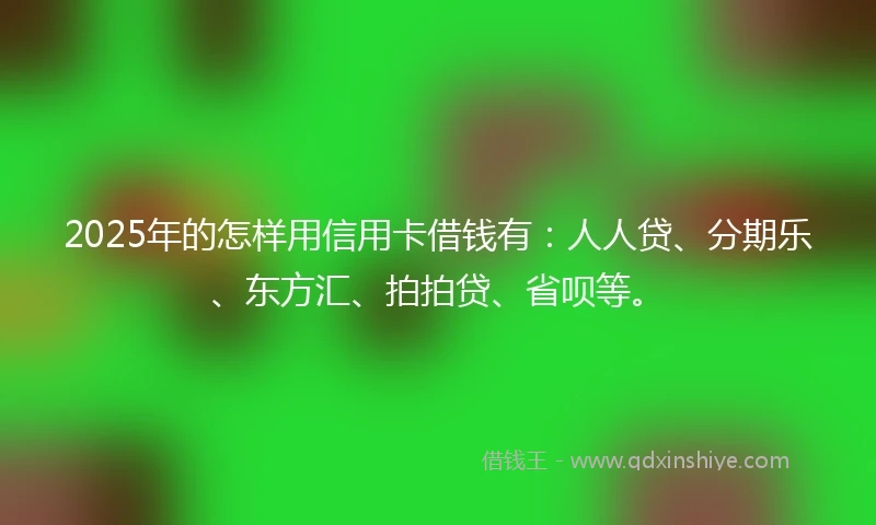 2025年的怎样用信用卡借钱有：人人贷、分期乐、东方汇、拍拍贷、省呗等。