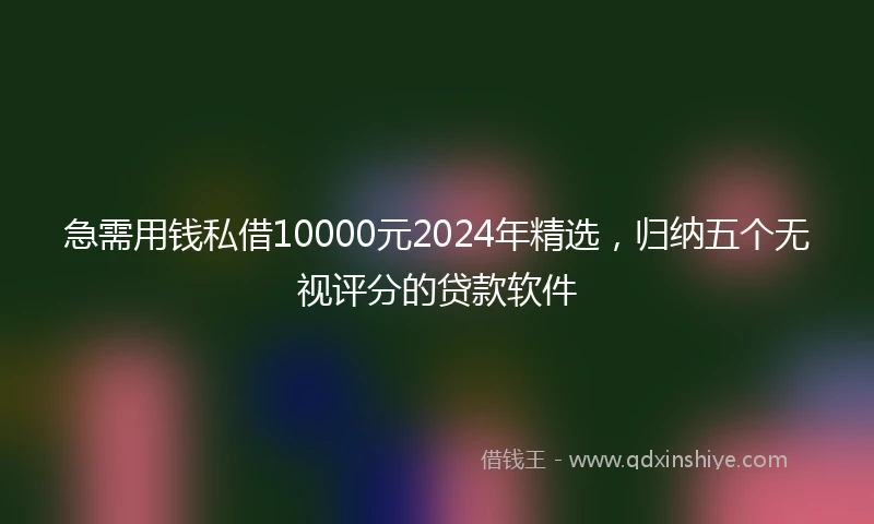 急需用钱私借10000元2024年精选，归纳五个无视评分的贷款软件