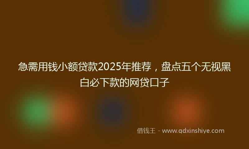 急需用钱小额贷款2025年推荐，盘点五个无视黑白必下款的网贷口子