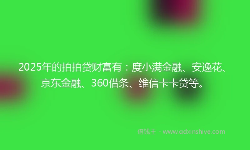 2025年的拍拍贷财富有：度小满金融、安逸花、京东金融、360借条、维信卡卡贷等。