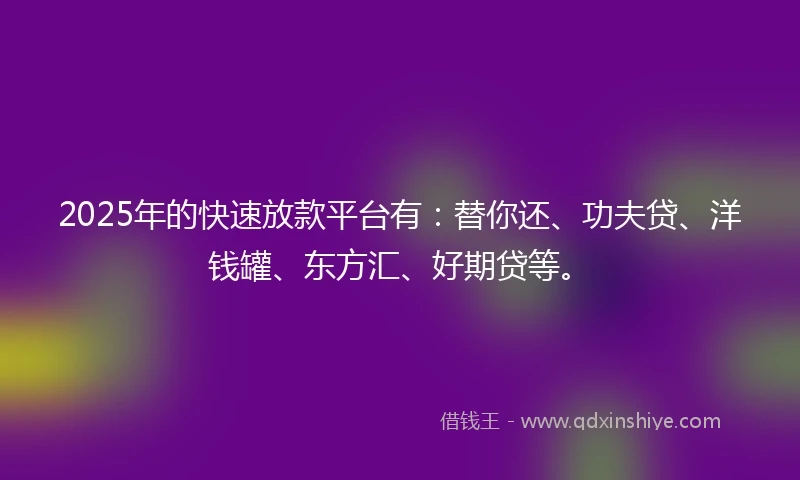2025年的快速放款平台有：替你还、功夫贷、洋钱罐、东方汇、好期贷等。