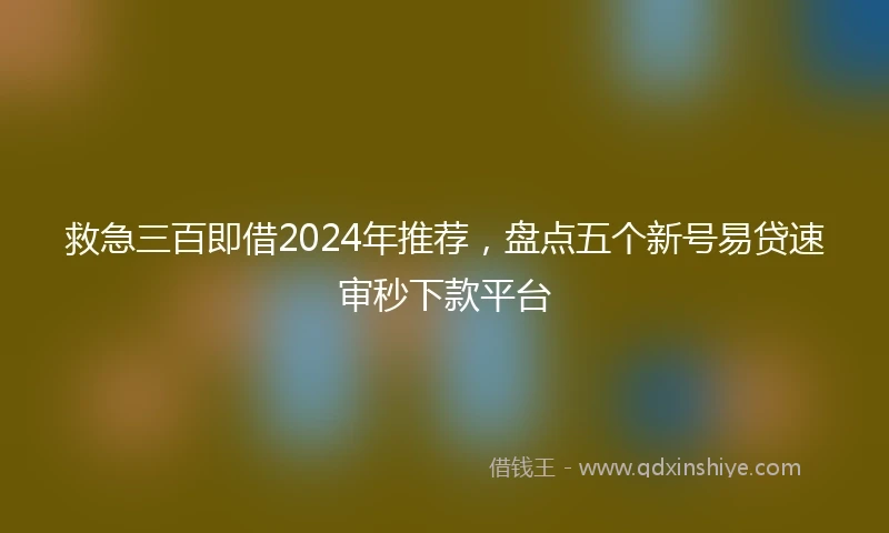 救急三百即借2024年推荐，盘点五个新号易贷速审秒下款平台