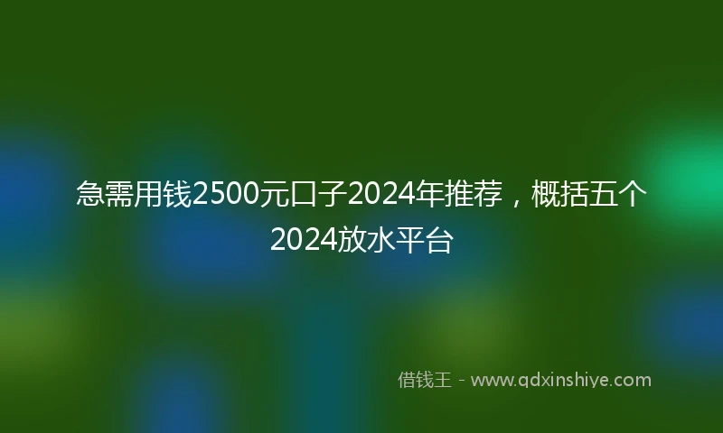 急需用钱2500元口子2024年推荐，概括五个2024放水平台