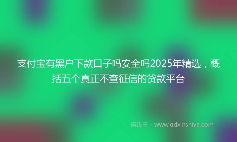 支付宝有黑户下款口子吗安全吗2025年精选，概括五个真正不查征信的贷款平台