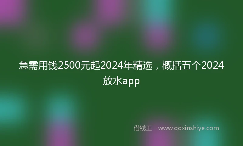 急需用钱2500元起2024年精选，概括五个2024放水app