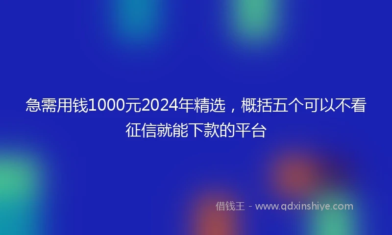 急需用钱1000元2024年精选，概括五个可以不看征信就能下款的平台