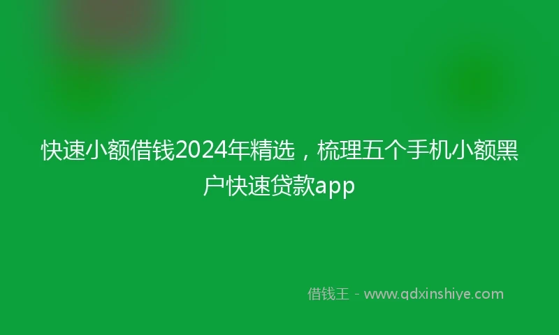 快速小额借钱2024年精选，梳理五个手机小额黑户快速贷款app