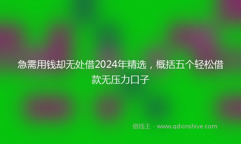 急需用钱却无处借2024年精选，概括五个轻松借款无压力口子
