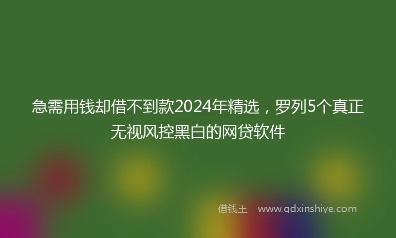 急需用钱却借不到款2024年精选，罗列5个真正无视风控黑白的网贷软件