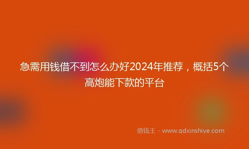 急需用钱借不到怎么办好2024年推荐，概括5个高炮能下款的平台