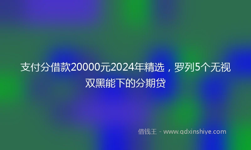 支付分借款20000元2024年精选，罗列5个无视双黑能下的分期贷