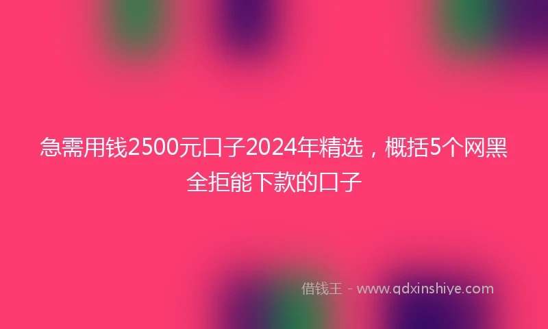 急需用钱2500元口子2024年精选，概括5个网黑全拒能下款的口子