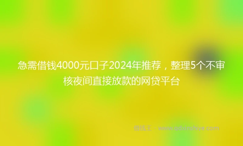 急需借钱4000元口子2024年推荐，整理5个不审核夜间直接放款的网贷平台