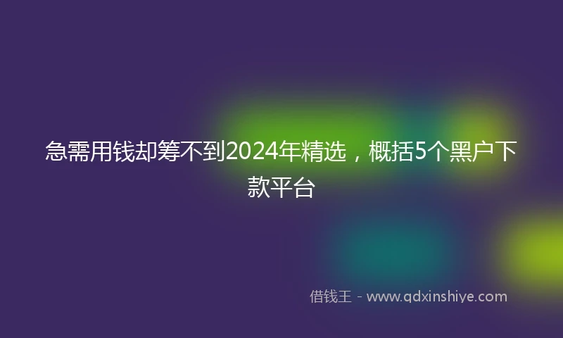 急需用钱却筹不到2024年精选，概括5个黑户下款平台