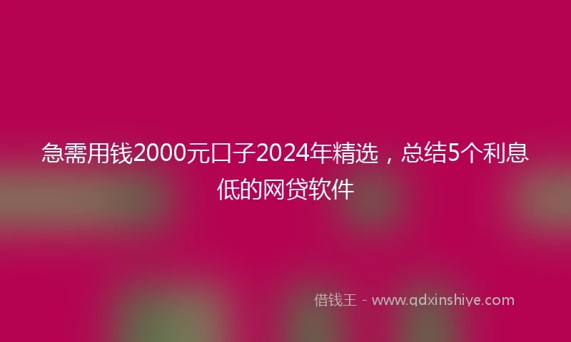 急需用钱2000元口子2024年精选，总结5个利息低的网贷软件