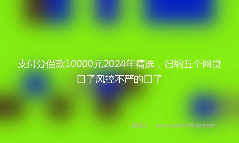 支付分借款10000元2024年精选，归纳五个网贷口子风控不严的口子