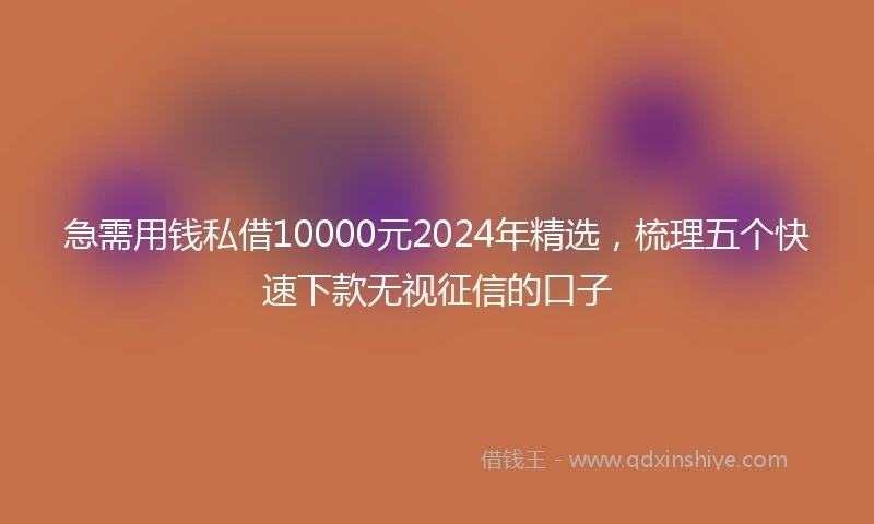 急需用钱私借10000元2024年精选，梳理五个快速下款无视征信的口子