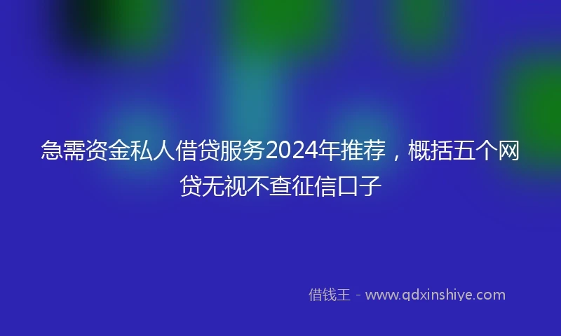 急需资金私人借贷服务2024年推荐，概括五个网贷无视不查征信口子