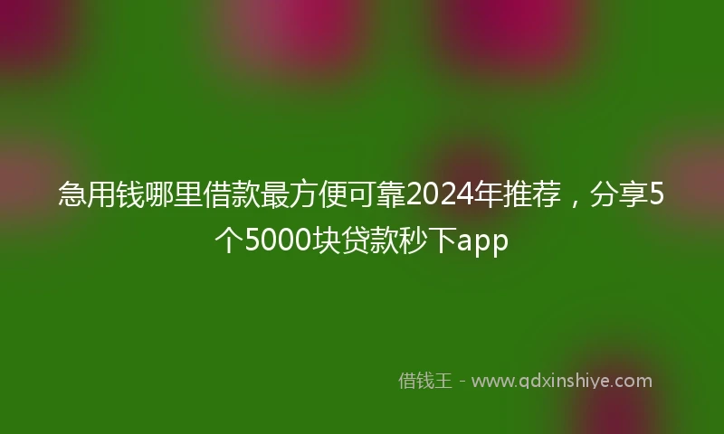 急用钱哪里借款最方便可靠2024年推荐,分享5个5000块贷款秒下app