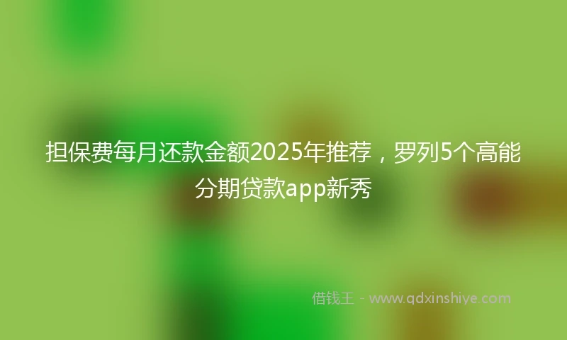 担保费每月还款金额2025年推荐，罗列5个高能分期贷款app新秀