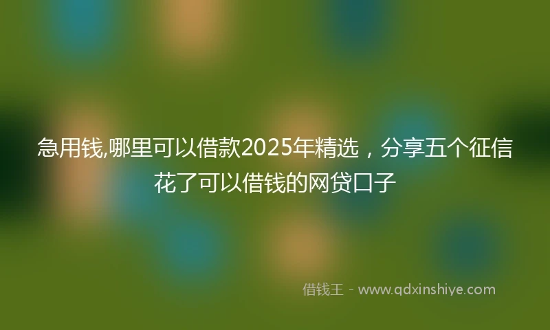 急用钱,哪里可以借款2025年精选，分享五个征信花了可以借钱的网贷口子