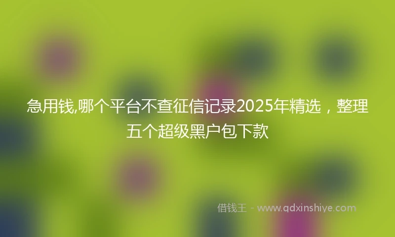 急用钱,哪个平台不查征信记录2025年精选,整理五个超级黑户包下款