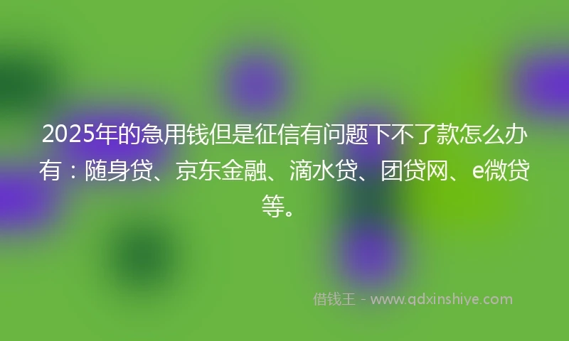 2025年的急用钱但是征信有问题下不了款怎么办有：随身贷、京东金融、滴水贷、团贷网、e微贷等。