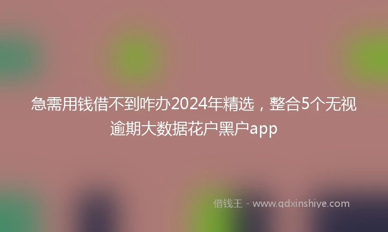急需用钱借不到咋办2024年精选，整合5个无视逾期大数据花户黑户app